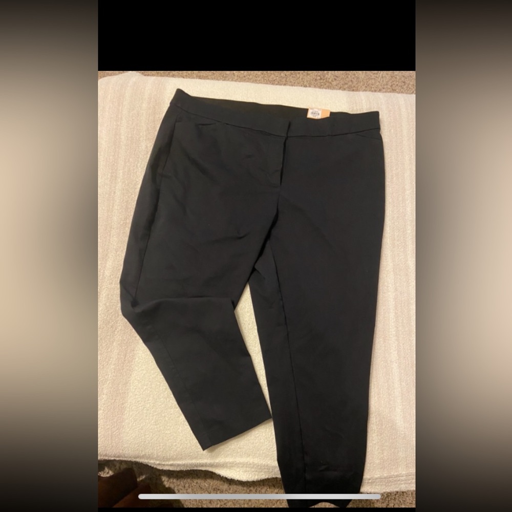 Evri 22w Ankle Pants.